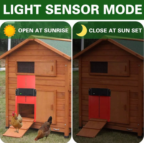 Waterproof Automatic Chicken Coop Door – Light Sensor, Predator Protection, Easy Setup