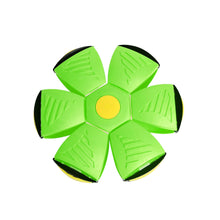 Load image into Gallery viewer, -20% Magic frisbee ball
