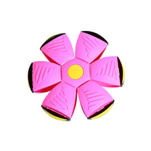 Load image into Gallery viewer, -20% Magic frisbee ball

