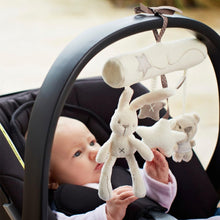Load image into Gallery viewer, Toddler Rattles Toy
