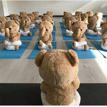 Load image into Gallery viewer, -20% Cute yoga bear for Baby
