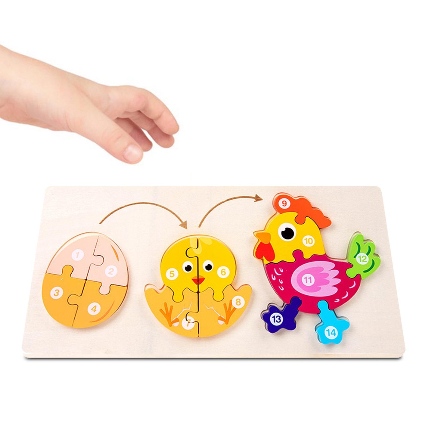 -20% Animals Growing Puzzle