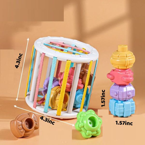 -30% Colorful Shape Sorting