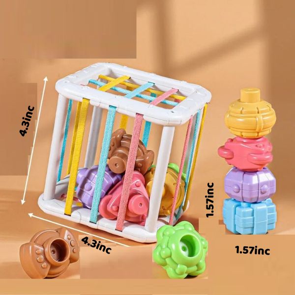-30% Colorful Shape Sorting