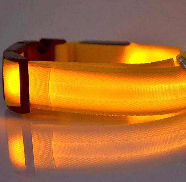 Glowing Dog Collar – Night Safety LED Flashing Light for Pets