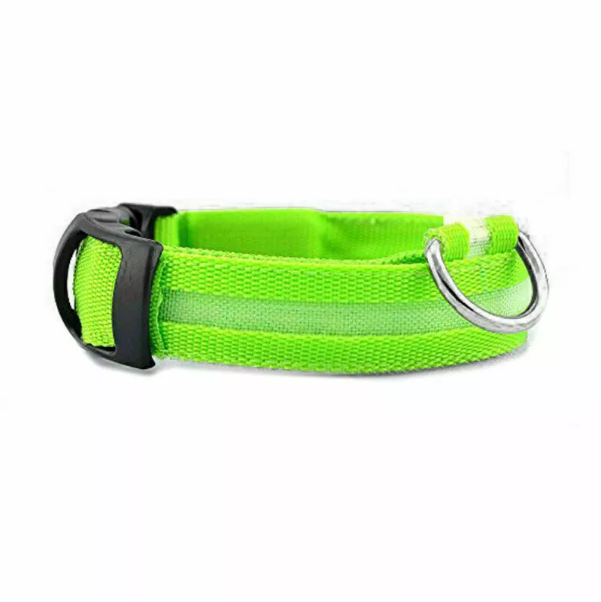 Glowing Dog Collar – Night Safety LED Flashing Light for Pets