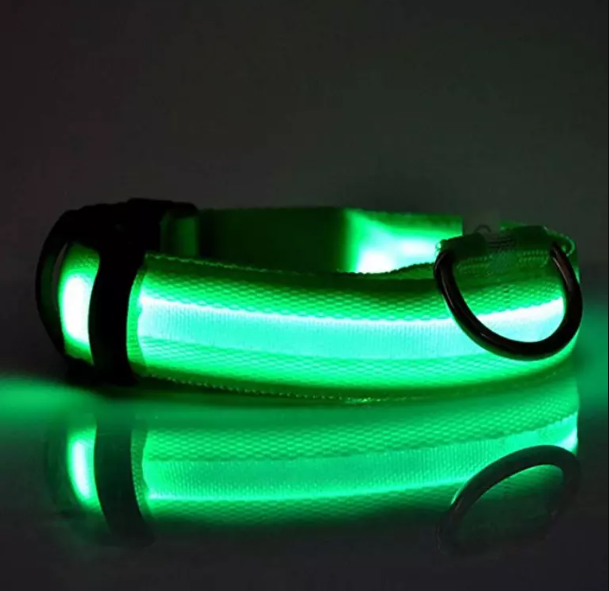Glowing Dog Collar – Night Safety LED Flashing Light for Pets