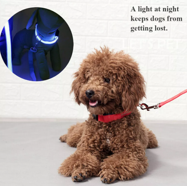 Glowing Dog Collar – Night Safety LED Flashing Light for Pets