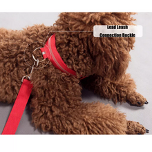 Load image into Gallery viewer, Glowing Dog Collar – Night Safety LED Flashing Light for Pets
