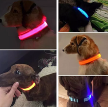 Load image into Gallery viewer, Glowing Dog Collar – Night Safety LED Flashing Light for Pets
