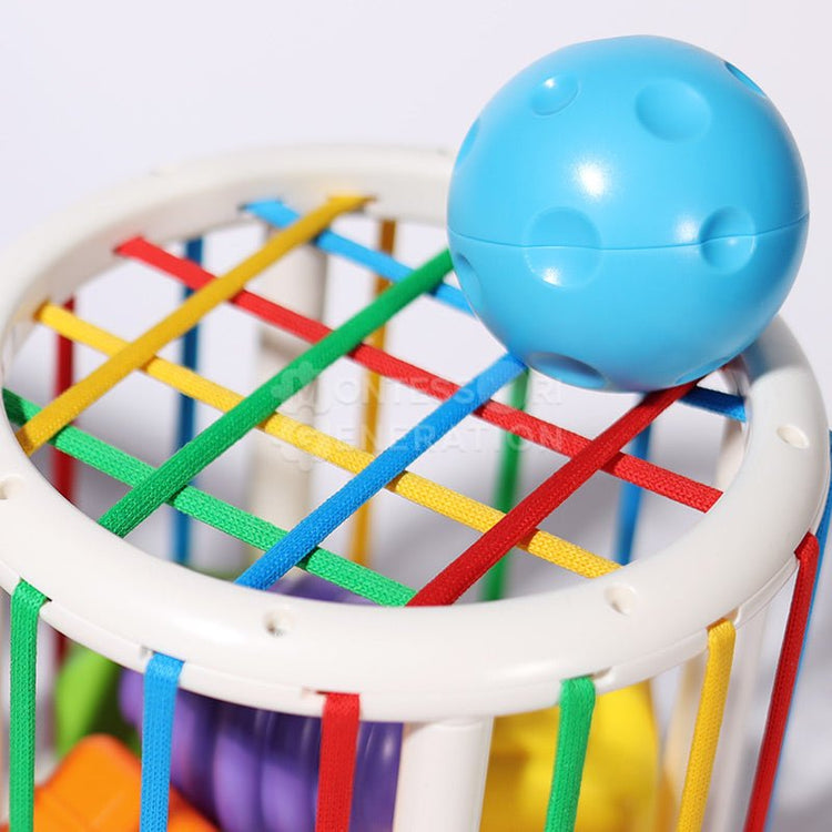 -30% Colorful Shape Sorting