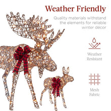 Load image into Gallery viewer, 2-Piece Moose Family Lighted Outdoor Christmas Decoration Set w/ 170 Lights
