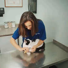 Load image into Gallery viewer, Dog Nail Clipper With Quick Sensors With LED Lights
